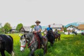 IMG_7083_w
