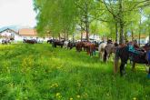 IMG_7084_w