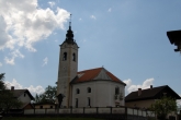 olsevek
