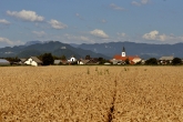 Sv.-Jurij-02