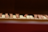 FJ7_3742