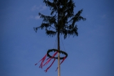 FJ7_7347_w